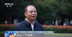 <b><b>动多项“校园餐”范畴</b></b>